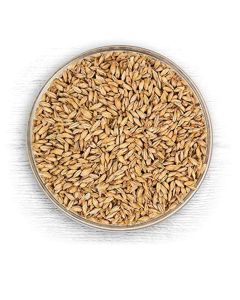 American 2-Row Distillers Base Malt [18 lb, Briess, Distilling Malt]