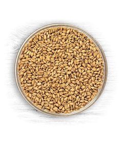 American White Wheat Base Malt - [18 lb, Briess, Lovibond 2.5, USA Grown]