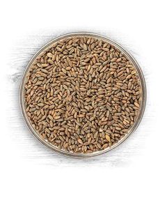 American Rye Base Malt [18 lb, Briess, 3.7°L]